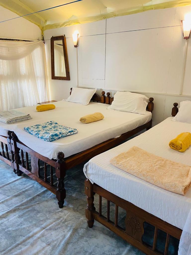 Tent Cressida Cyrus Palolem Room photo